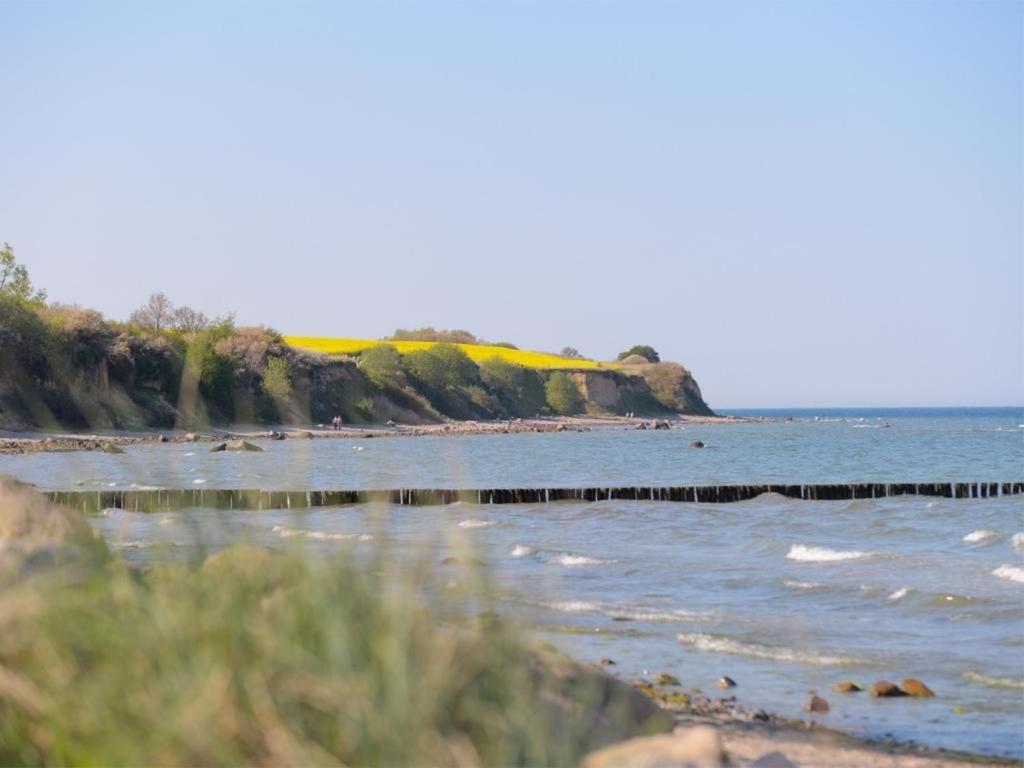 Fewo 7 Im "Haus Am Meer" ボルテンハーゲン エクステリア 写真